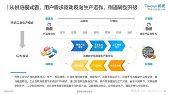 易观智库报告 中国工业互联网数字化发展专题分析2019 ppt版