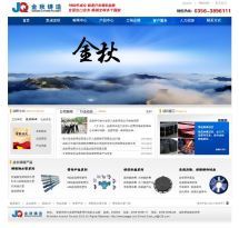 网站开发