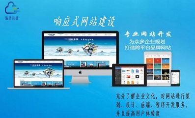 网站定制开发