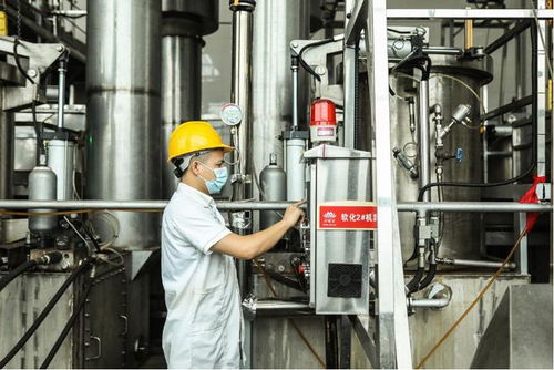 以品质升级 技术创新实现高质量发展 槟榔产业的自我革新之路