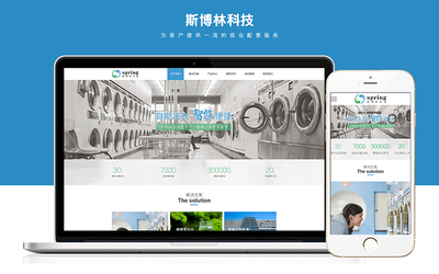 网站定制开发